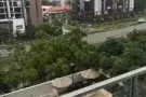 找女生室友，$550波东巴西地铁站步行一分钟新公寓，$550波东巴西地铁站步行一分钟新公寓，