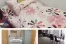 $500总统府后面单间出租