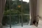 巴特利出租主人房和普通房