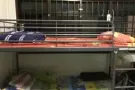 男搭房一个