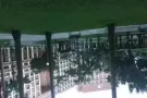 淡滨尼45街 大牌497