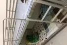 两人间招男搭房，靠近索美塞，乌节路，多美歌。