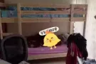 年前房租白菜价出租