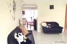 步行三分钟文庆地铁站3+2超大组屋 超大房间主人房