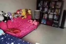 靠近波动巴西地铁站私人排屋大普通房出租