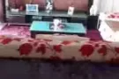 盛港普通夫妻情侣房出租