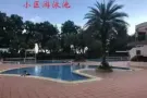 orchid park 公寓主人房 普通房 无中介费