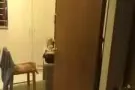 ❤️❤️❤️兀兰地铁站附近房间出租随时入住干净便利