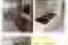 Dunearn Road超豪华公寓Jardin主人房招合租室友（限女生）