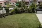 实龙岗有地住宅寻找合住伙伴