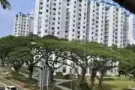 东海岸，马林百列单间房，女搭房