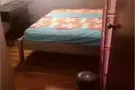 碧山苑公寓普通房出租 