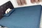 超大普通房 招单身女
