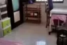 近实龙岗/后港超大普通房间出租