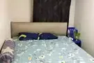 招合租