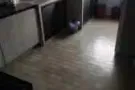 主人房 四人间 女搭房 招两人
