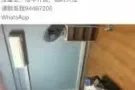 夫妻，情侣，两人