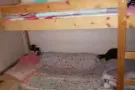 招女床位