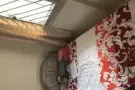 月租或日租50