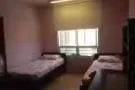3+1 芽笼37巷