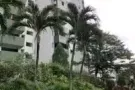 Pine Grove Condo 房间出租 (靠近国大, SP, NP)