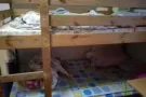 男搭房