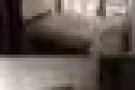 短期出租两个月有喜欢的小伙伴可以来看一下35一天