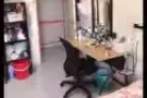 兀兰离地铁站走路3分钟！普通房招租夫妻！