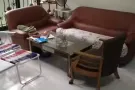 裕廊西普通女单人间出租