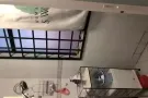 East coast Female bed rental