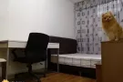 高文普通房低价出租