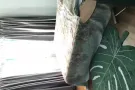 三巴旺大牌351D房第一次出租 无中介费