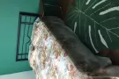 紧临三巴旺地铁351D有房第一次出租