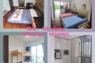 特价免押金 紫线 红线 全岛有房 报地址 送水电 千套豪宅 无屋主健身房拎包入住