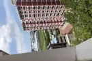 巴西立大牌584，床位出租