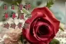 红山地铁站附近男床位出租