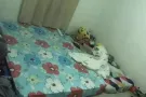 要找些爱干净的，不要打扰到别人