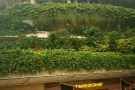 求租整套房子640221附近