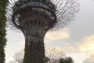 牛车水可丹戎巴噶一女寻一位同租