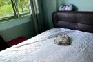 海军部近地铁站单间出租