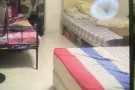 出租男搭房一位$450