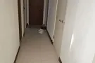 招男搭房