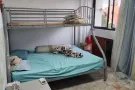花拉公园大普通房出租