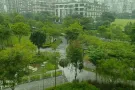 榜鹅普通大房间出租（女士）
