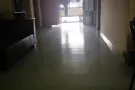 马西岭大牌11号