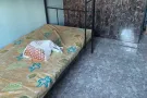 盛港女生床位出租