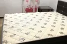 房间出租     非中介