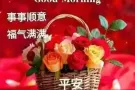 诺维娜地铁站附近有公寓房出租，普通单间可以申报地址。