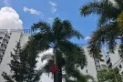 近Boonlay MRT，Pioneer MRT有房间出租