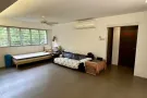 马里是他主人房招女生